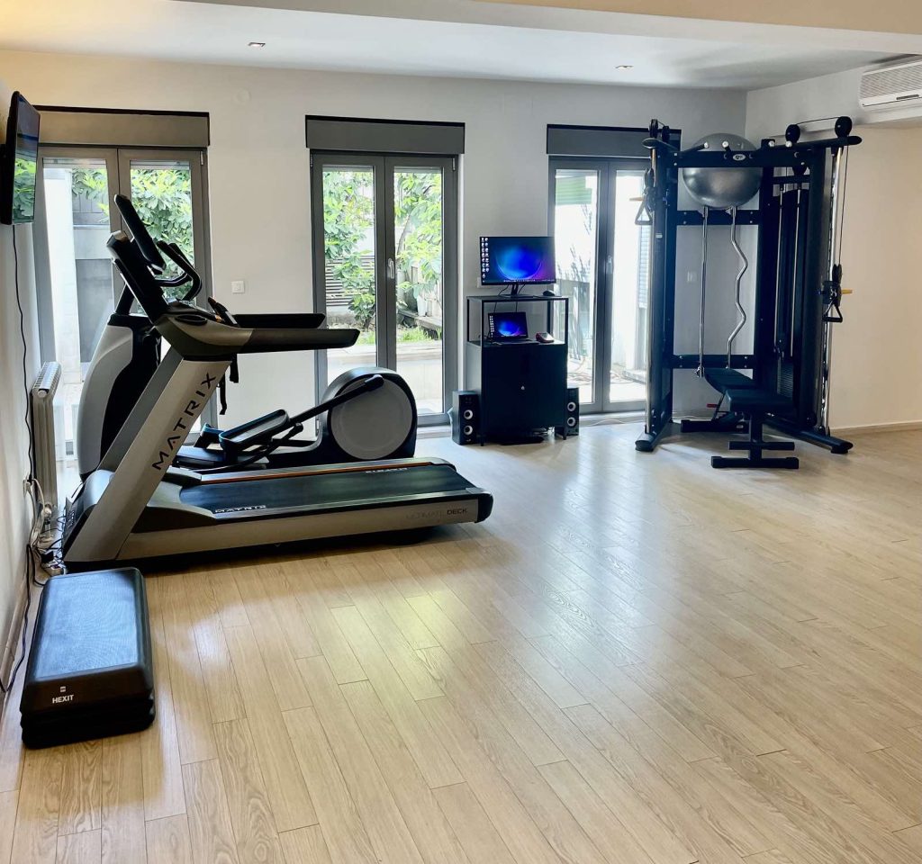 Active fitness Vračar